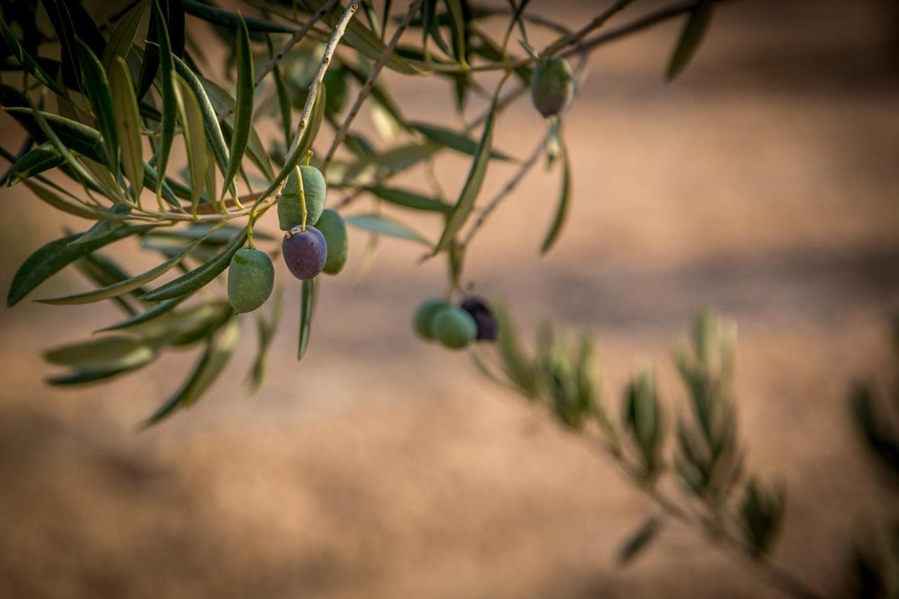 Roldán Finca Tres Molinos B&B מראה חיצוני תמונה